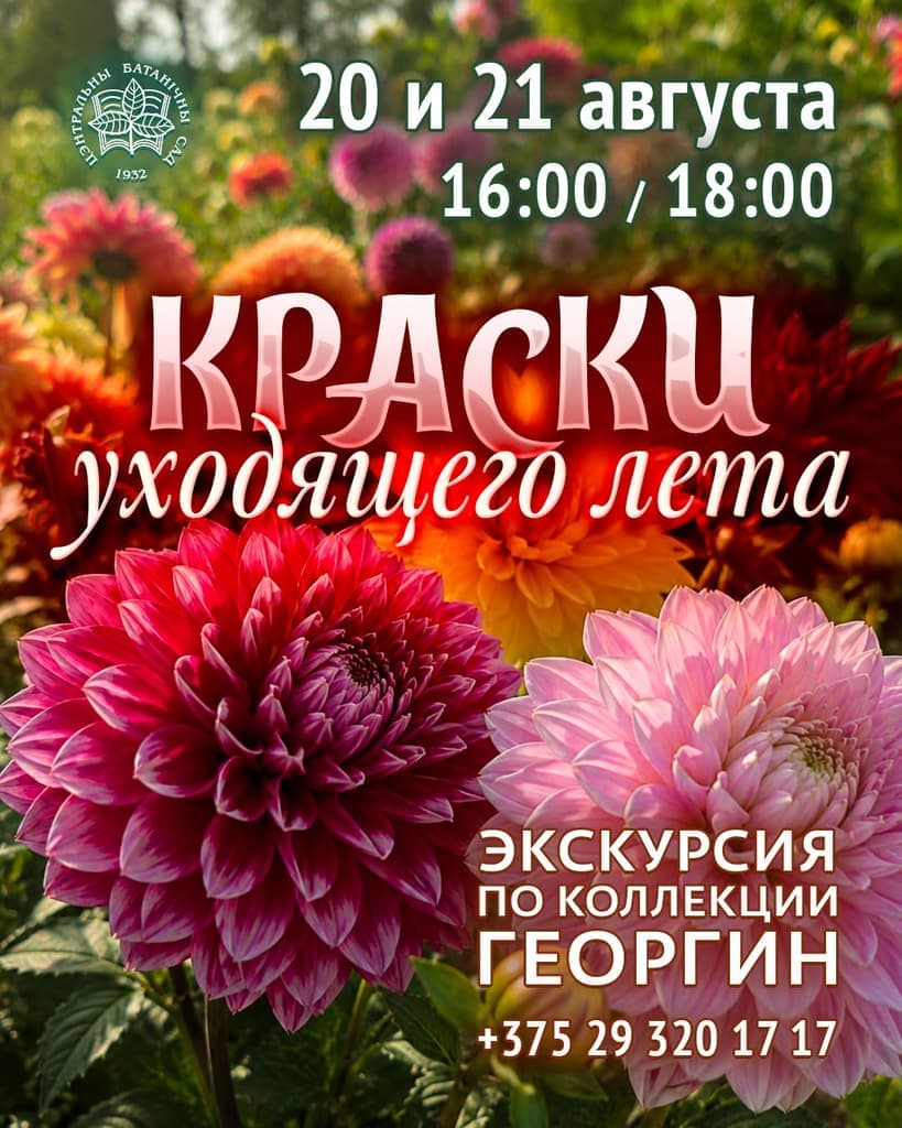 Краски уходящего лета: экскурсия по коллекции георгин